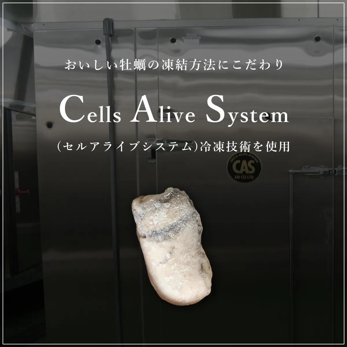 牡蠣のむき身をCASを使用して凍結