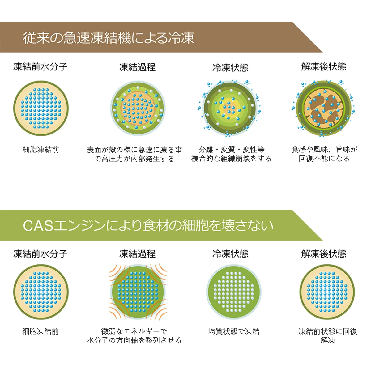 CAS凍結技術とはなに？図説を使用してさらに説明
