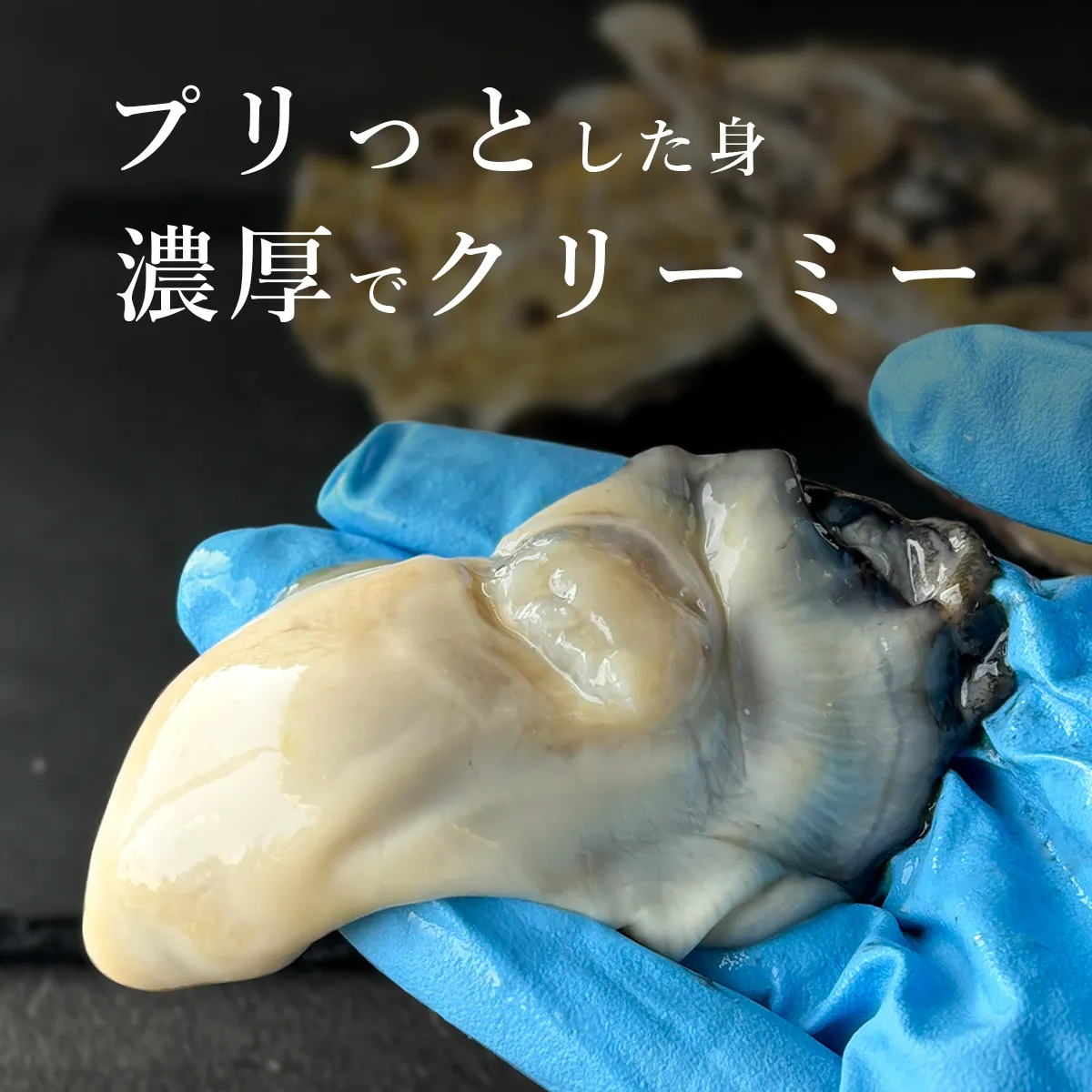 浜市牡蠣の味の紹介