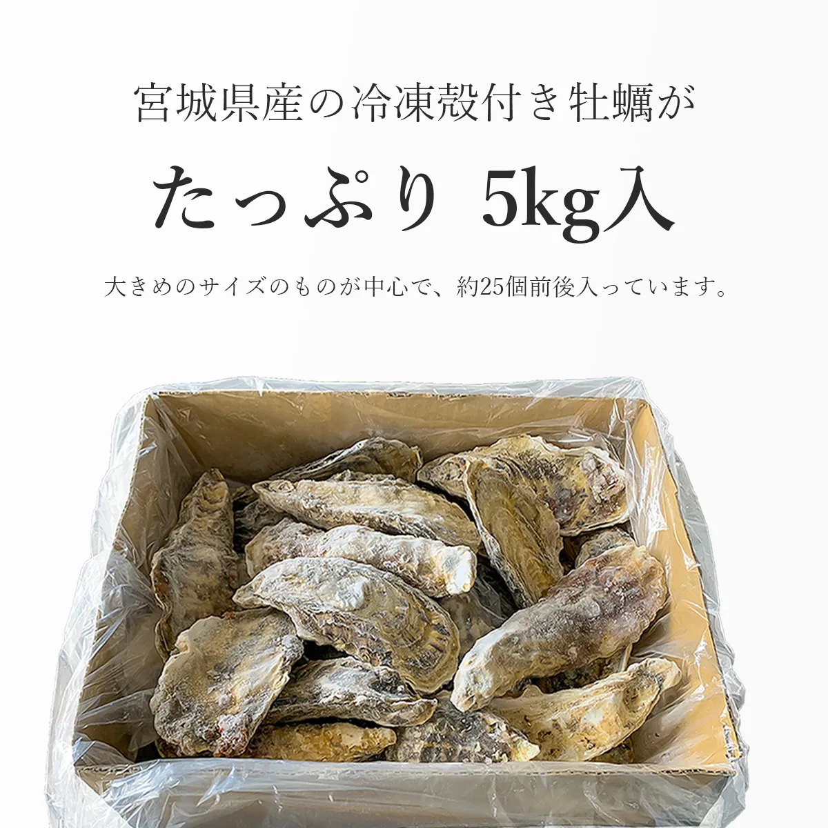商品の内容量のイメージ画像