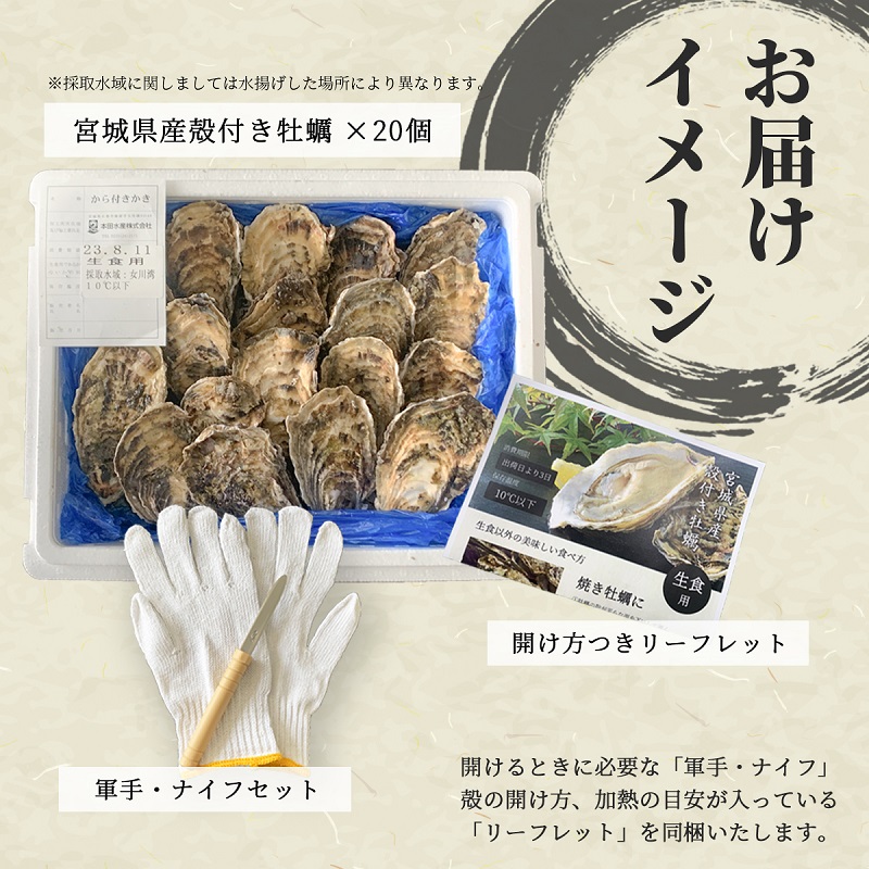 宮城県産殻付き牡蠣のお届けイメージ