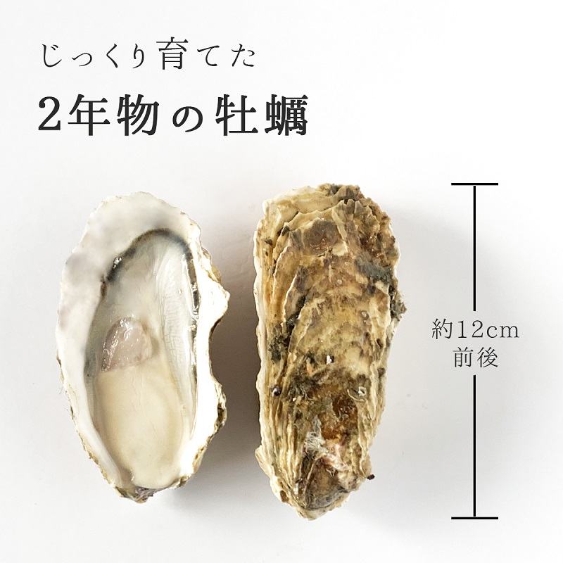 殻付き牡蠣の1個当たりのサイズ感
