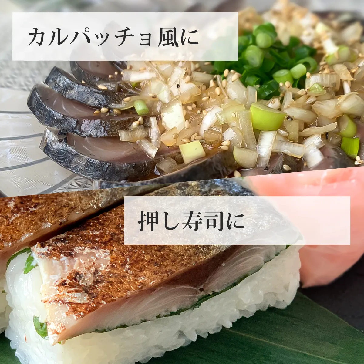 炙りしめ鯖のレシピ2