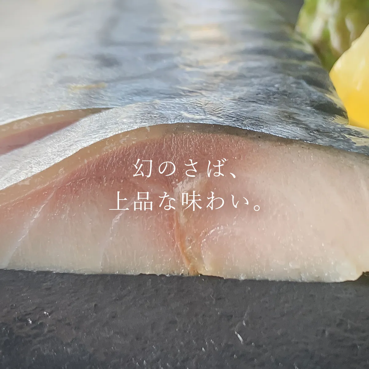 金華さばの脂は上品な味わいです