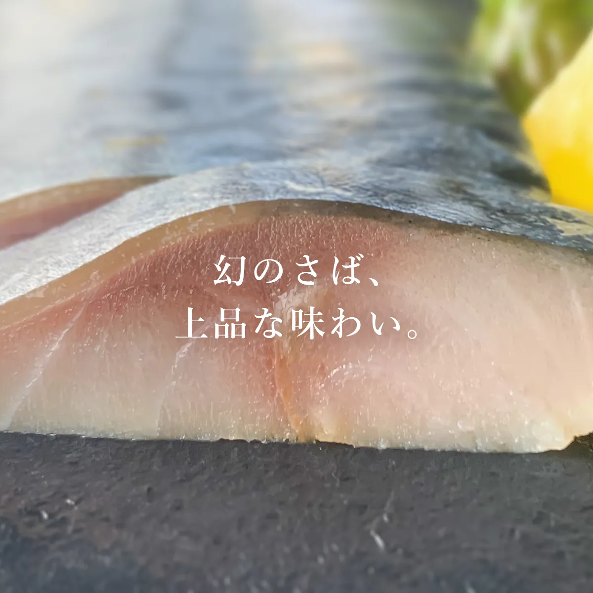 金華さばの脂は上品な味わいです