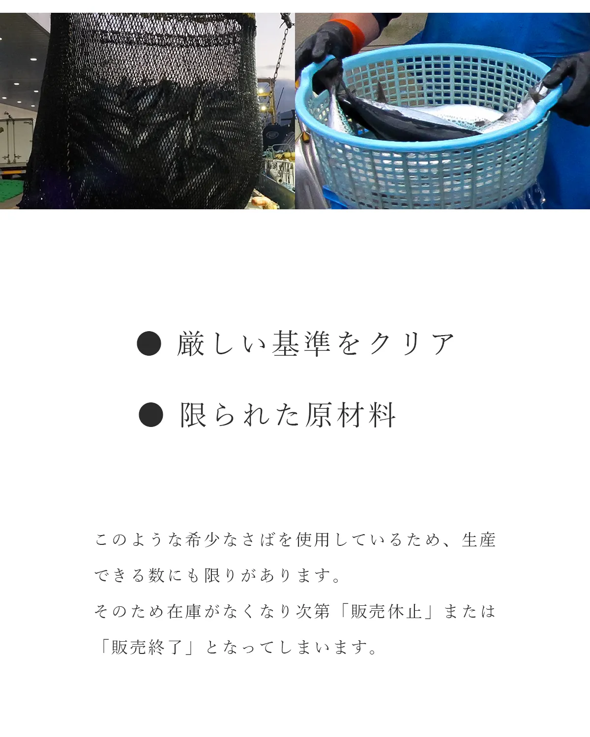 在庫がなくなり次第終了となります