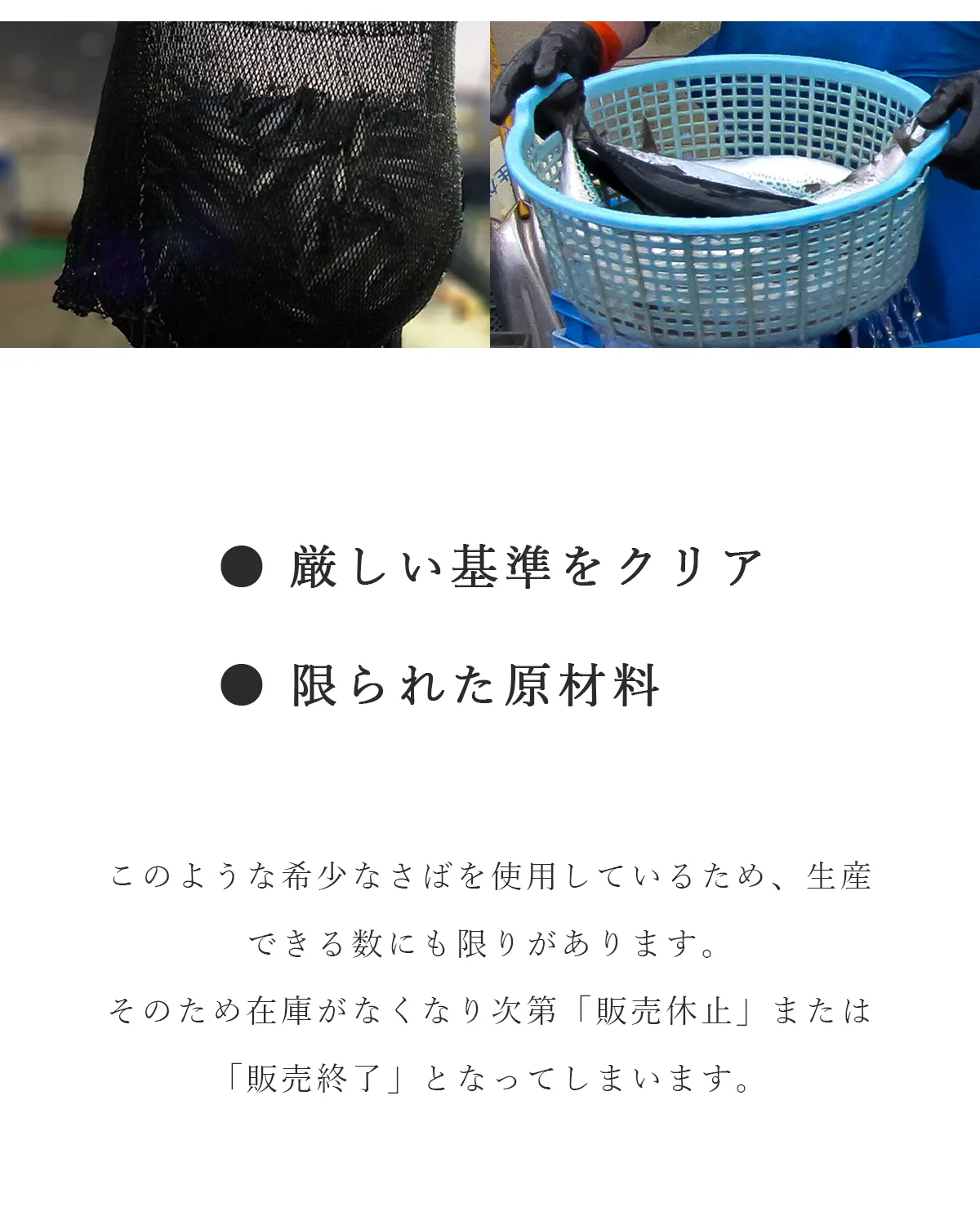 在庫がなくなり次第終了となります