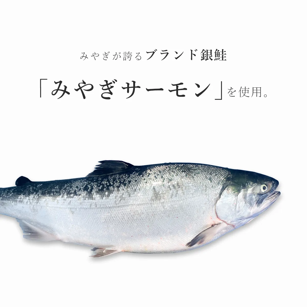みやぎサーモンを使用