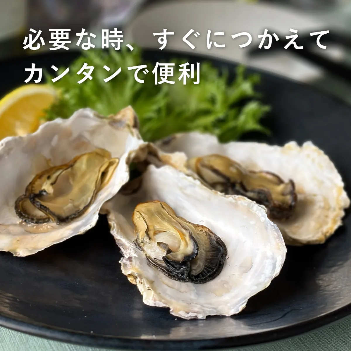 盛り付けイメージ画像