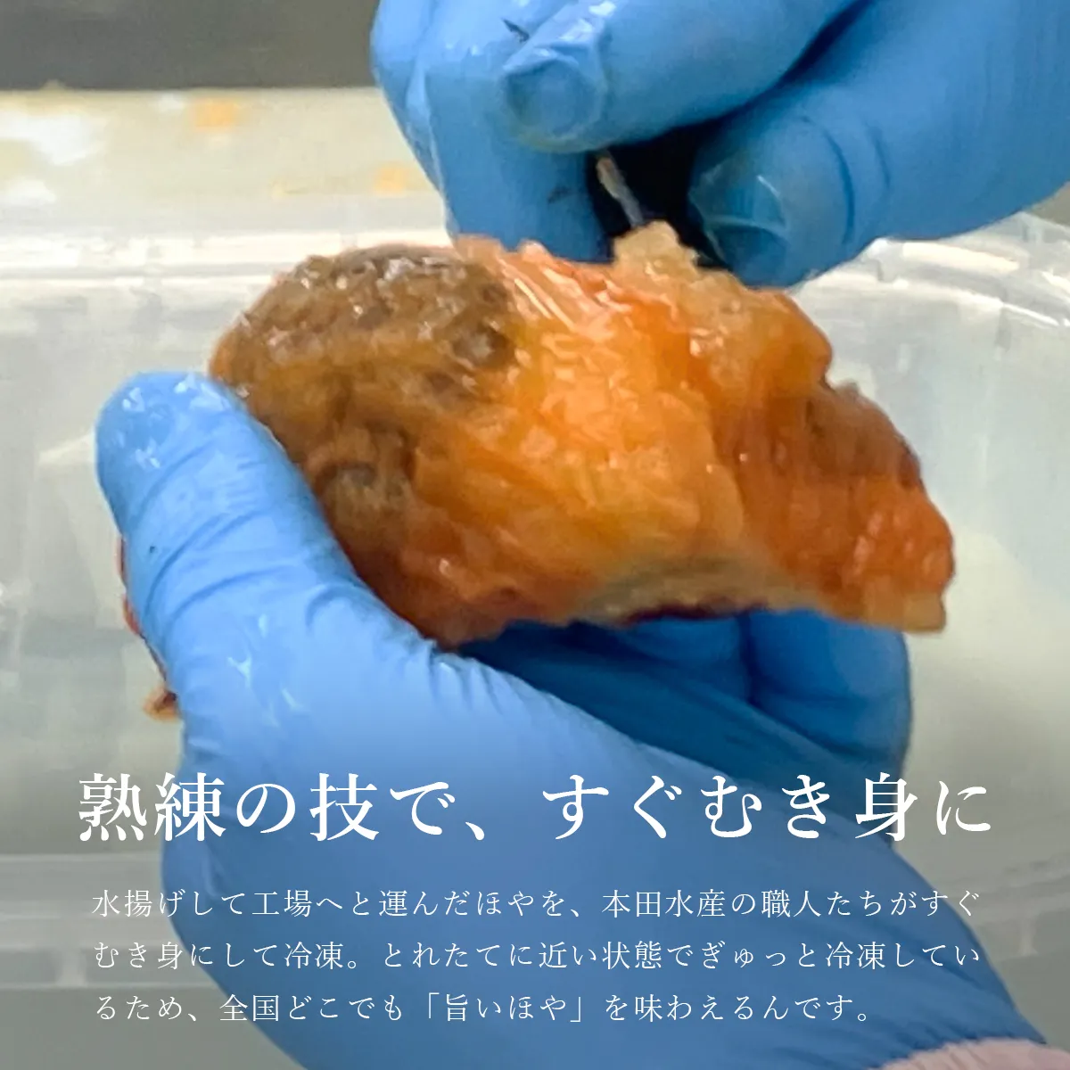 工場ですばやくむき身にして冷凍