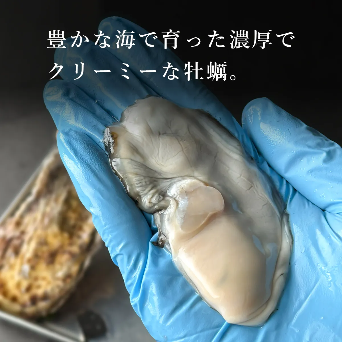 豊かな海で育った濃厚でクリーミーな牡蠣
