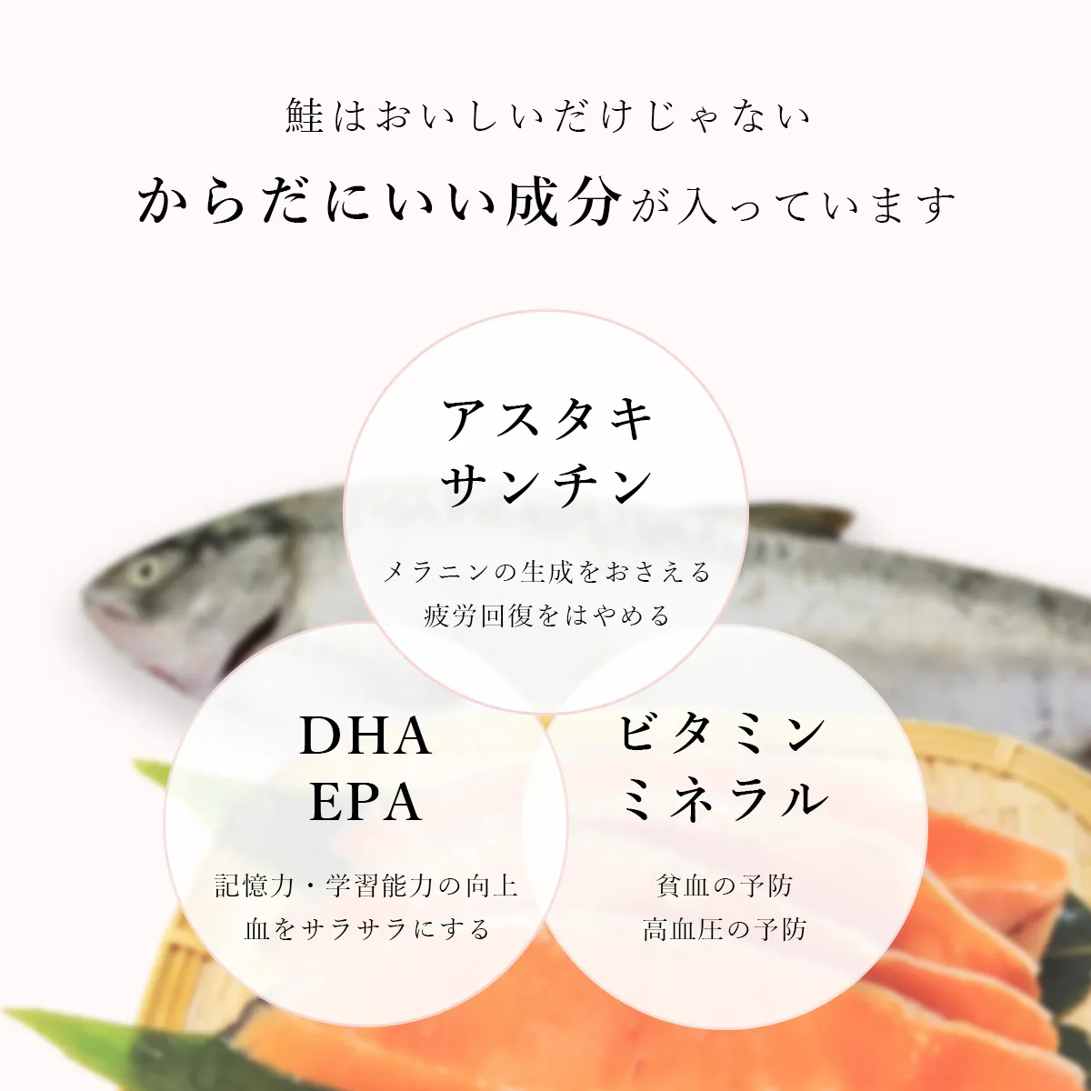 サーモンの栄養豊富なんです