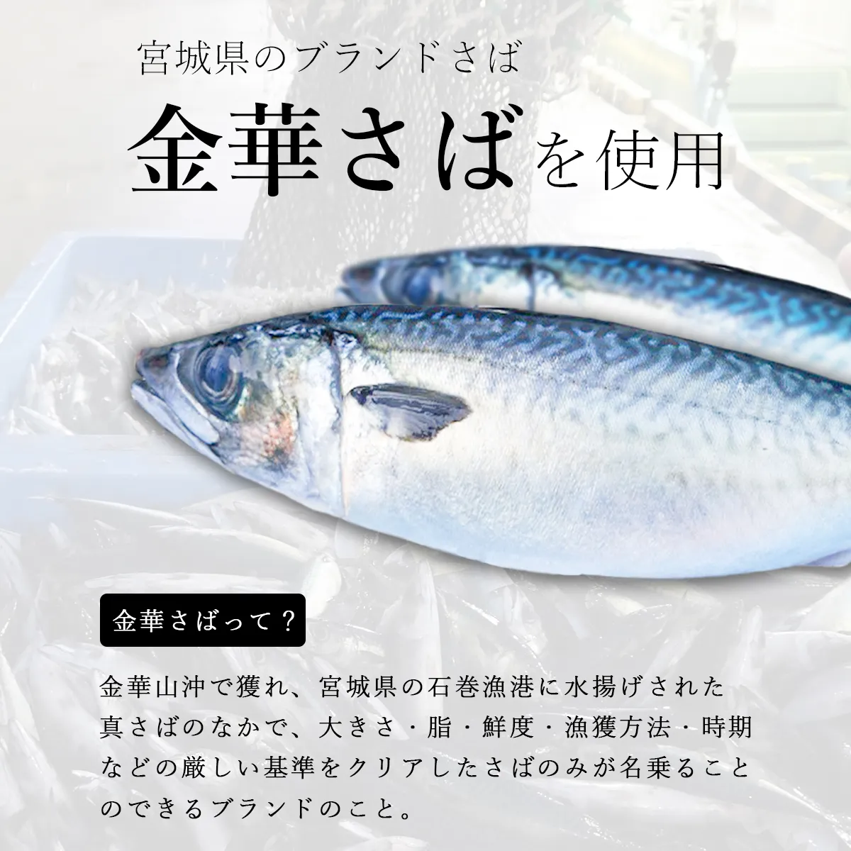 金華さばとは？